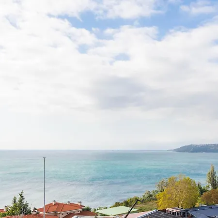 Apartment Design Lux Dreaming In Bamboo Garden ,no Shoes Allowed Inside